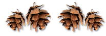 _7
