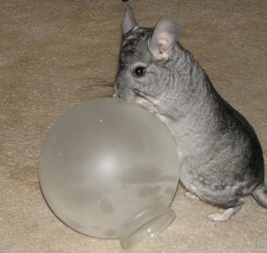 Безымянный