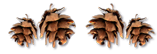 _5