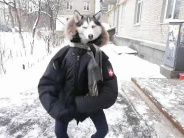 lunapic_130842697813452_9