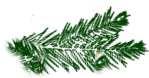 _9_1