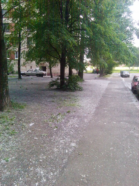 IMG_20110622_194336