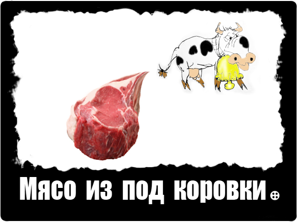 9 МЯСО КОРОВКИ