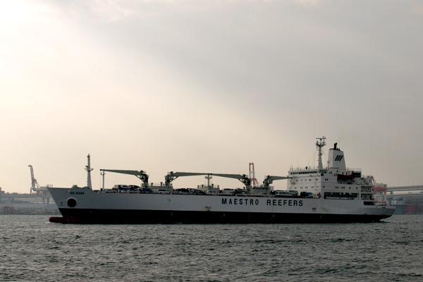 Ice-River-Yokohama5