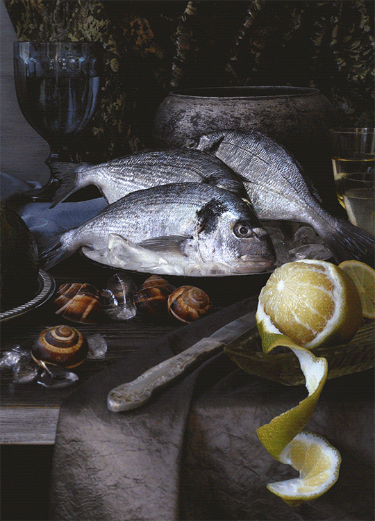 2fish2-t-