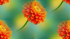 Бесшовные Оранжевые фоны от tane4ki 777