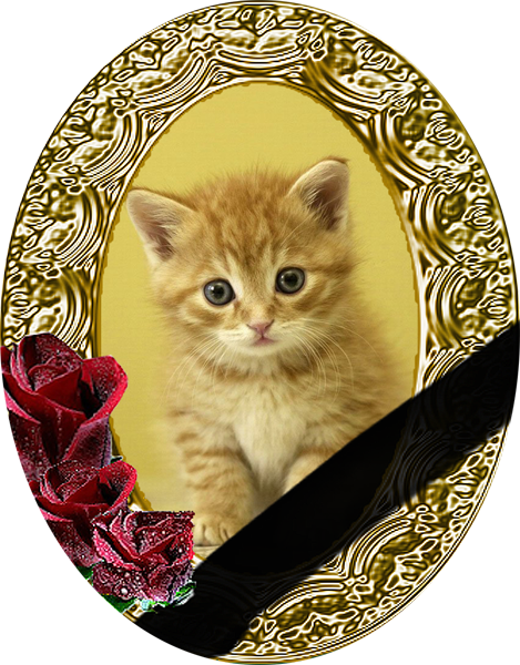 pomnim