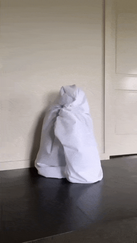 gif-14012022-09