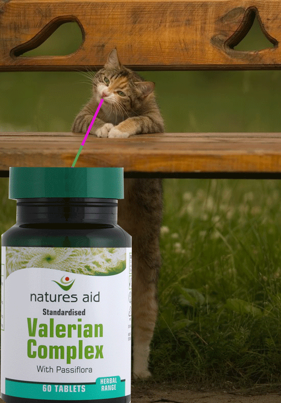 КОт-и-валерьянка