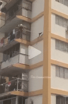 1648563370_gifs_24