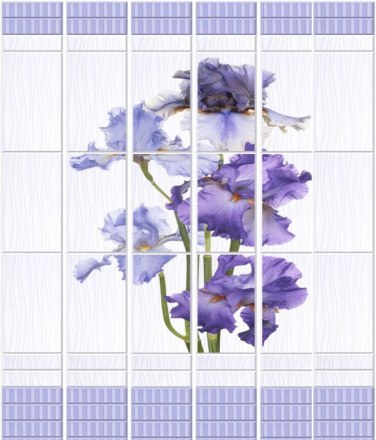 1_plit_vannaya_sir_yapfiles.ru