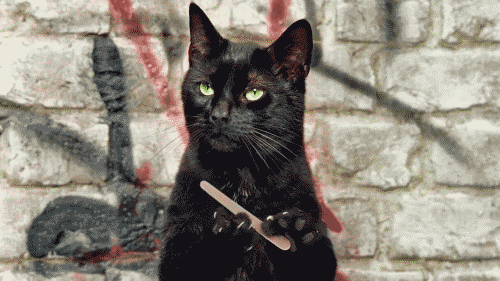 кот.gif