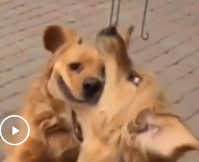 sdfnnnn2