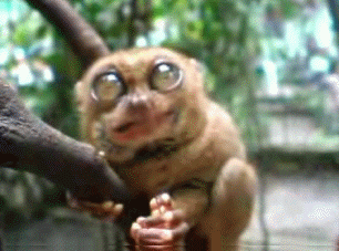 000fsdfw_yapfiles.ru