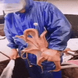 b-gifs-8