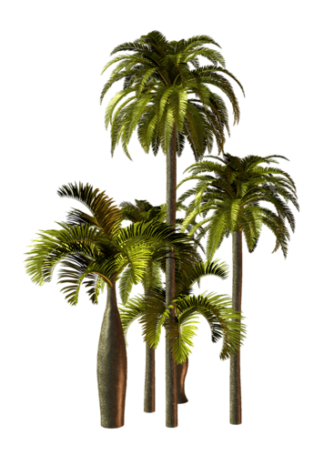 53ac2d2a316604ff4430457b43b65145