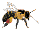 158247228_896996324