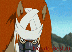 NarutoShippuuden215byRain_yapfiles.ru