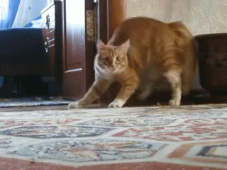 что со мной?