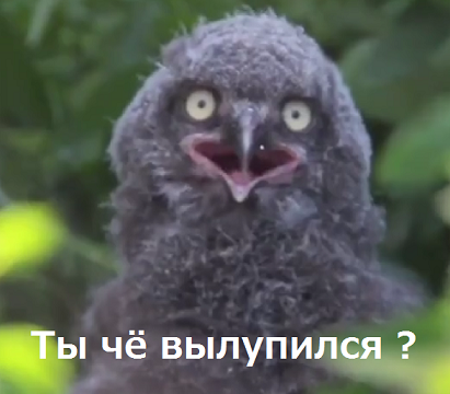 bgfhfg5464