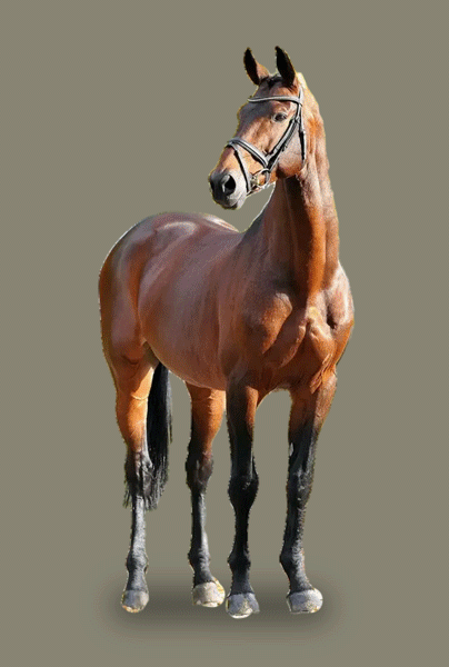 hj4e5ds09j