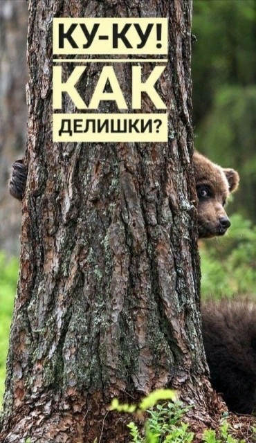 Михе