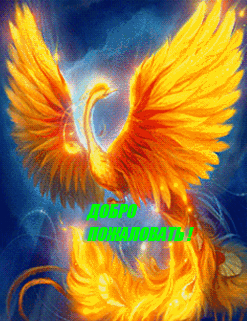 gifgit