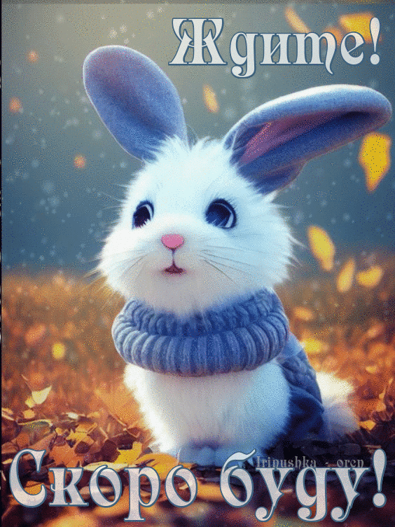 Год Кролика