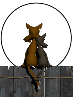 1228730021_240kh320_010