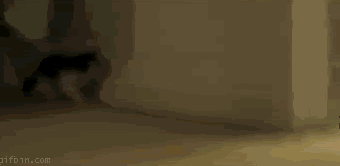 1313686972_56dcb43e-727c-4c37-9c35-fcaf7cf3dd3b