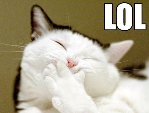 7848.lol_5F00_cat_2D00_12926