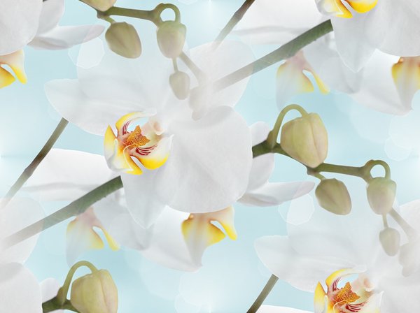 0_bd19a_1d4d0960_XL--28 БЕСШОВН