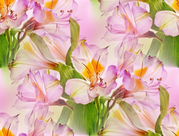 0_bd188_da73d22e_XL--20 БЕСШОВН