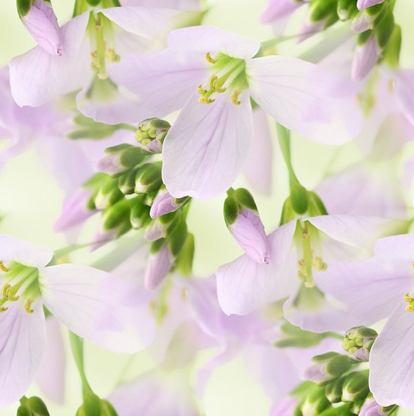 0_bd192_d0c730b3_XL--17 БЕСШОВН