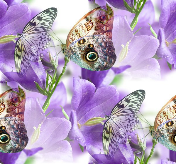 0_bd198_3581e57d_XL--12 БЕСШОВН