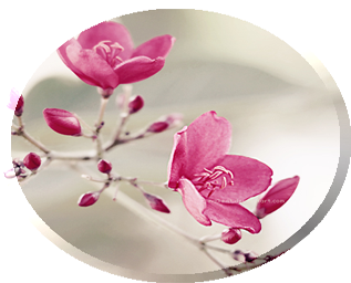 -цв-фон2.png-енее-проз.pngовал