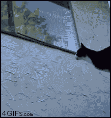 1316074654_gifki_01