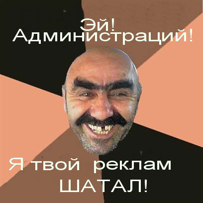шат2