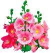 posadka_malvi_vesnoi_marte_aprele_mae_mnogoletnei_osenyu_blagopriyatnie_dni_kalendar