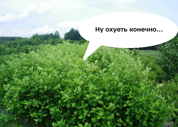 sdasd34324234324