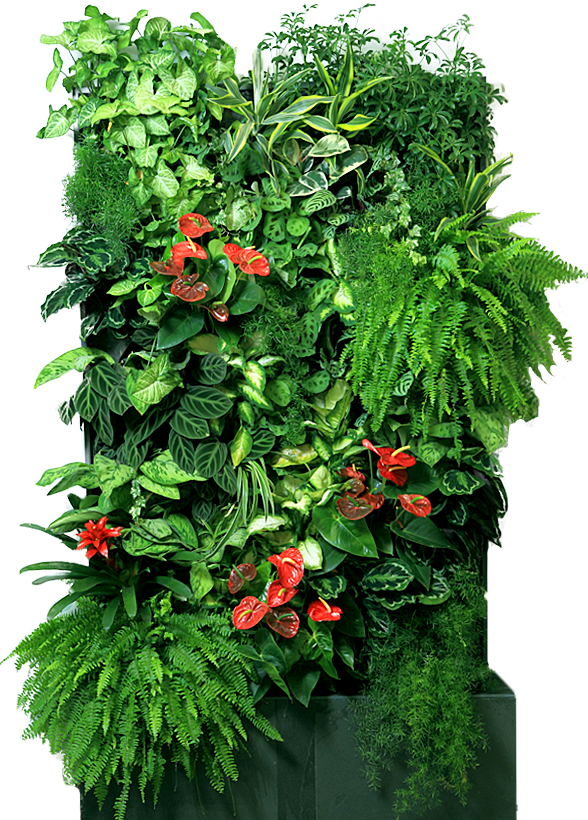 klipartz.com (12)