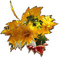 0_16d60e_f1c76469_orig2плеер