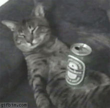reverse1283335312_beercat