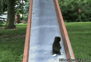 gifs_02