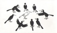 white_raven