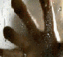 1612236_5388913[1]