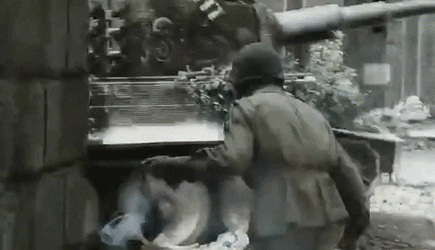 Silky-Limp-Gharial-size-restricted