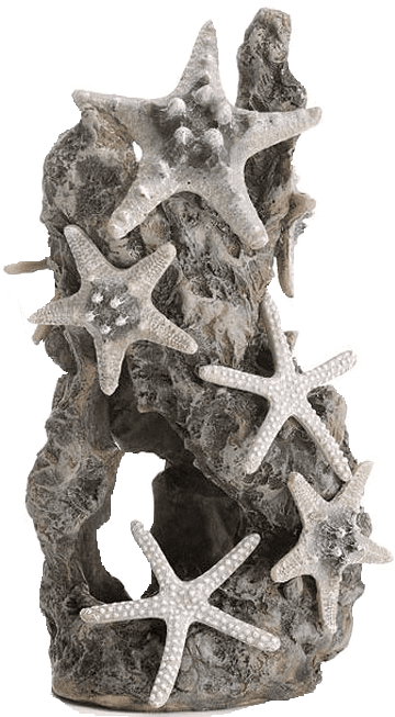 biorb_46132_1