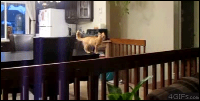 1319612993_gifs_08