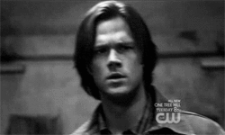 Supernatural 206
